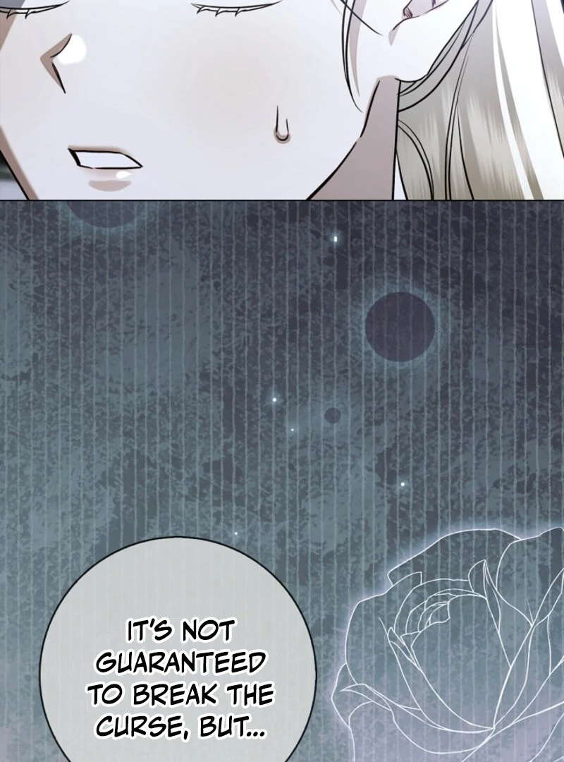 Sorry, I got distracted by your looks Chapter 41 579 ch 41 62