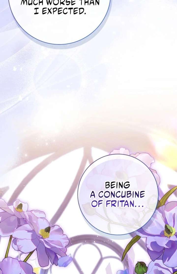 Sorry, I got distracted by your looks Chapter 50 533 082