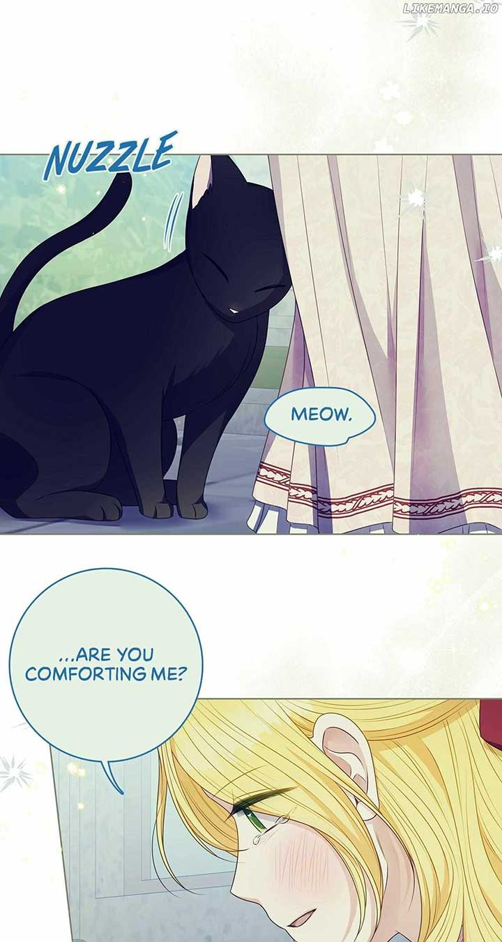 Spring Breeze of the Wasteland Chapter 35 274 45