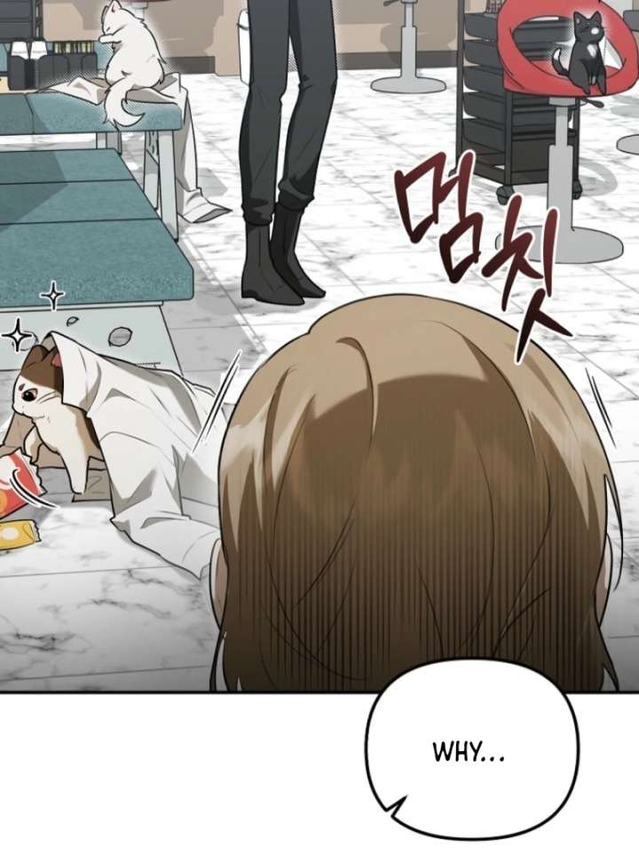 Starting Today, I’m the Butler of Five Men Chapter 1 498 011