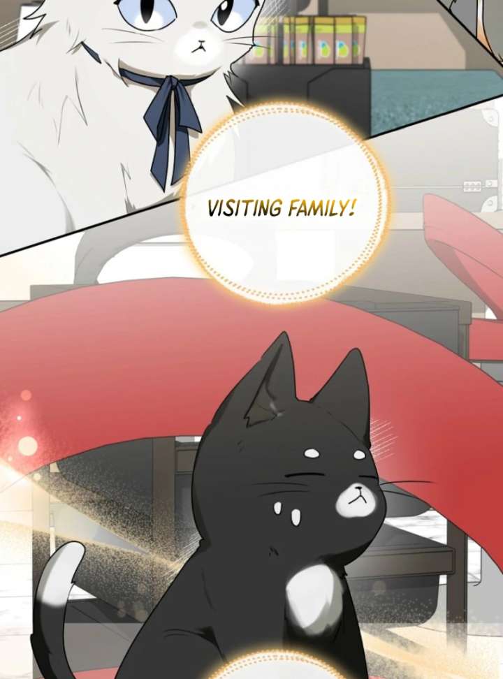 Starting Today, I’m the Butler of Five Men Chapter 1 505 018