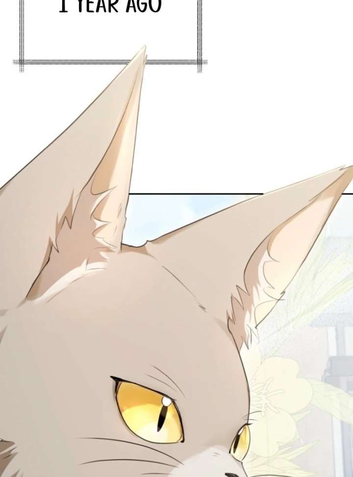 Starting Today, I’m the Butler of Five Men Chapter 1 525 038