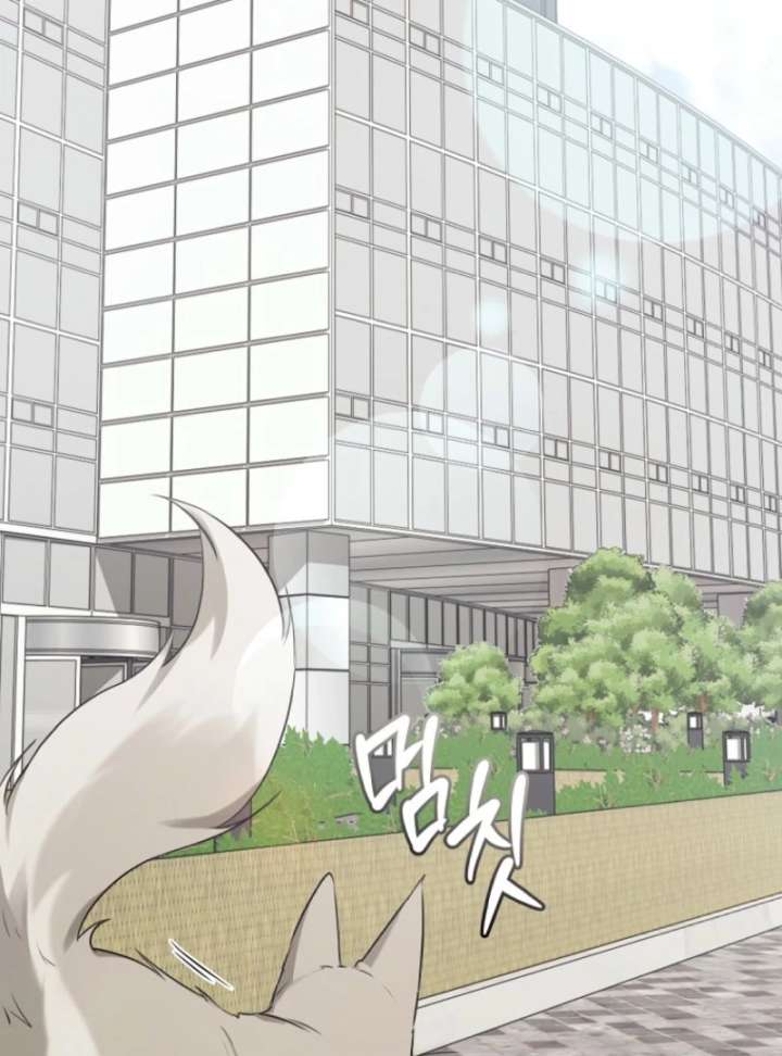 Starting Today, I’m the Butler of Five Men Chapter 1 529 042