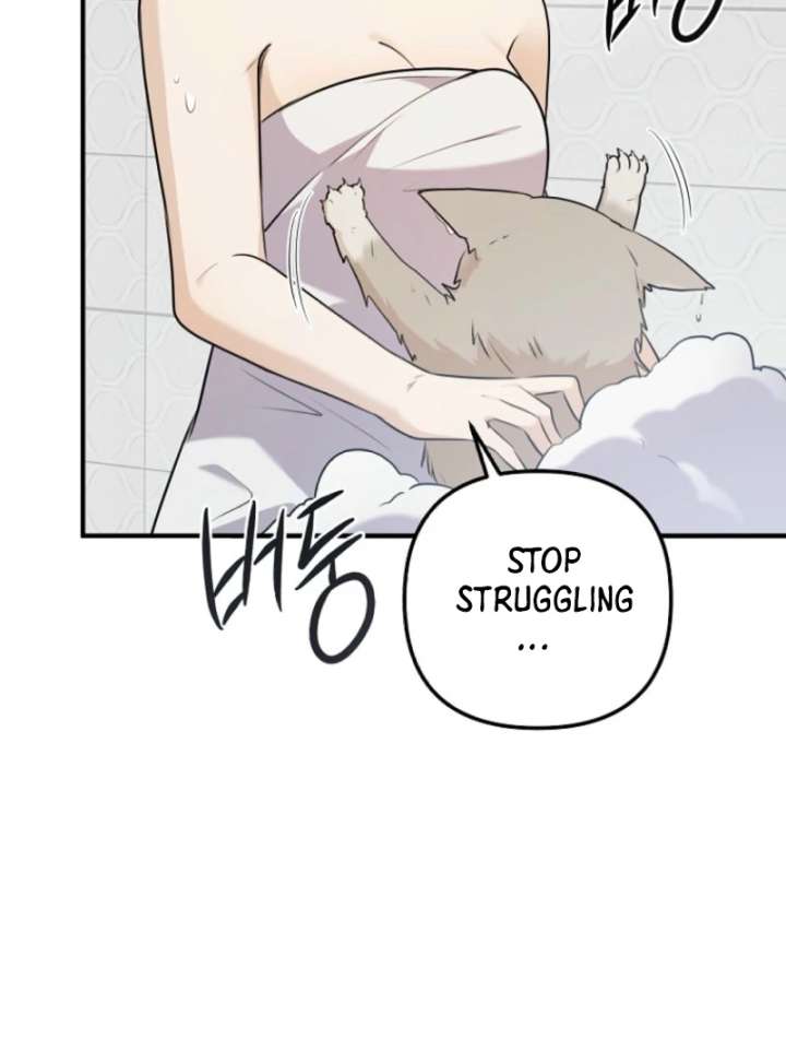 Starting Today, I’m the Butler of Five Men Chapter 1 613 126