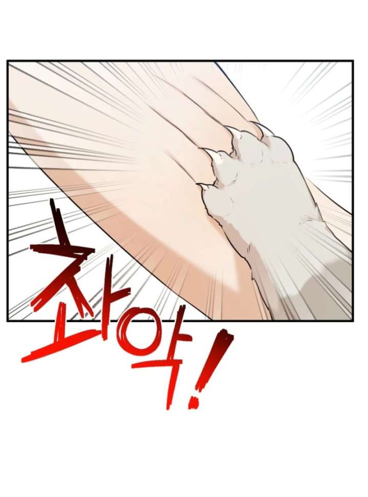 Starting Today, I’m the Butler of Five Men Chapter 1 614 127