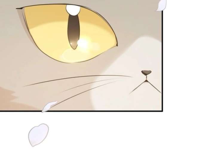 Starting Today, I’m the Butler of Five Men Chapter 1 629 142