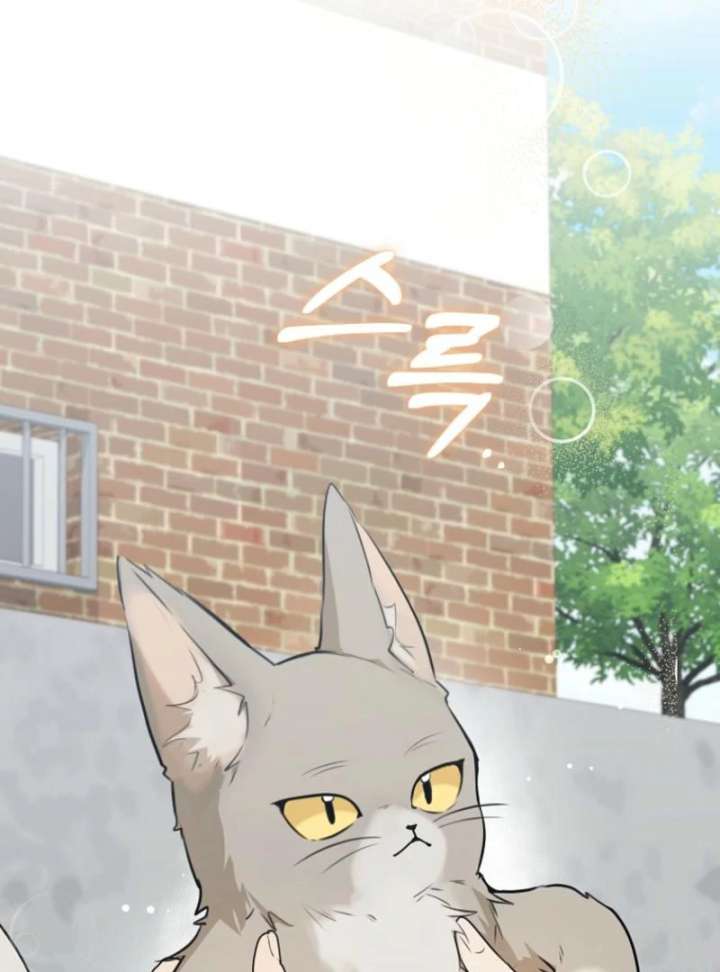 Starting Today, I’m the Butler of Five Men Chapter 3 513 086