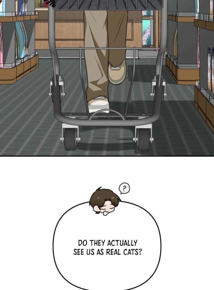 Starting Today, I’m the Butler of Five Men Chapter 8 589 114