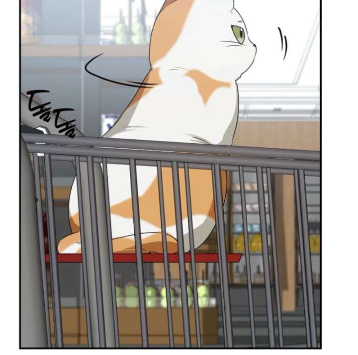 Starting Today, I’m the Butler of Five Men Chapter 8 591 116