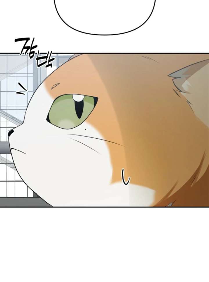 Starting Today, I’m the Butler of Five Men Chapter 8 613 138