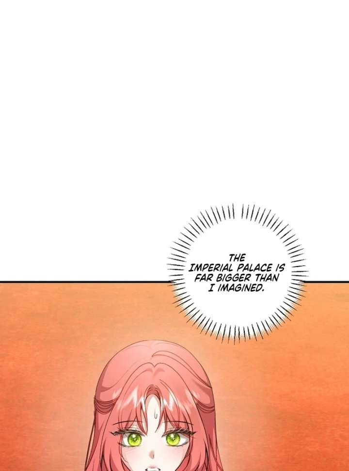 Sub-Male Lead, You Said It Was A Contract Marriage? Chapter 32 361 72