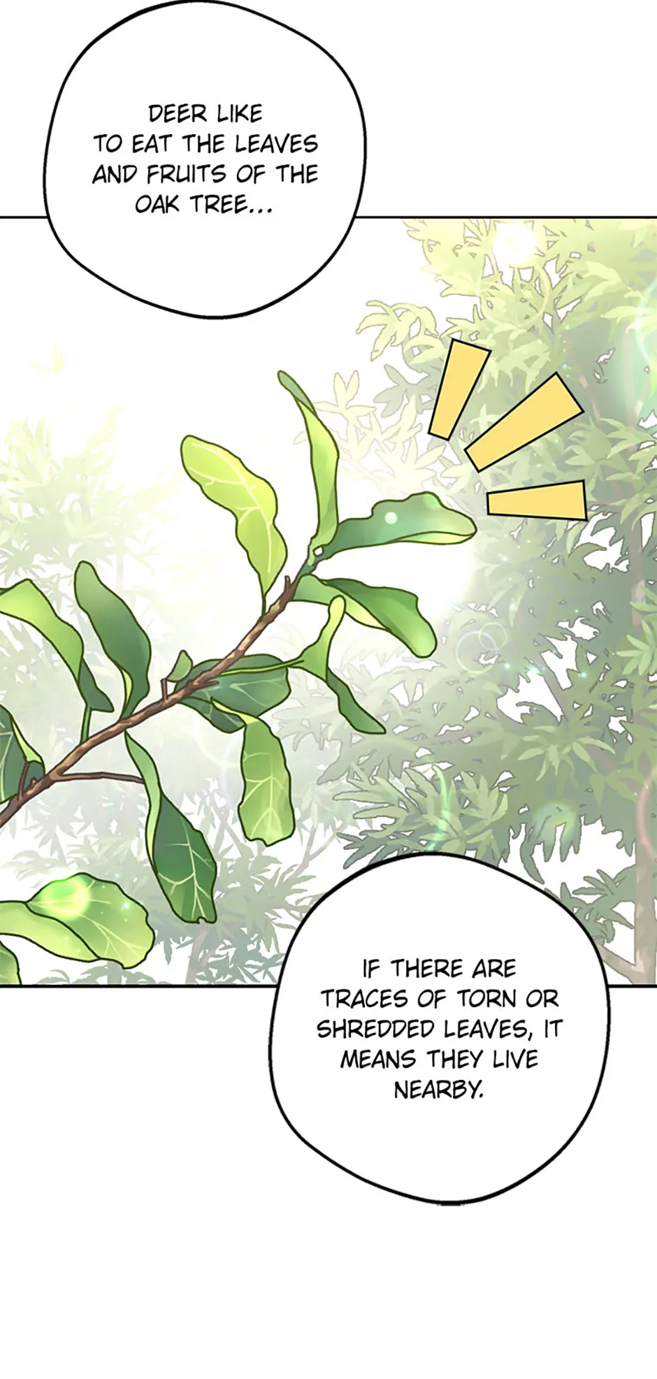 Surviving as an Illegitimate Princess Chapter 106 223 24