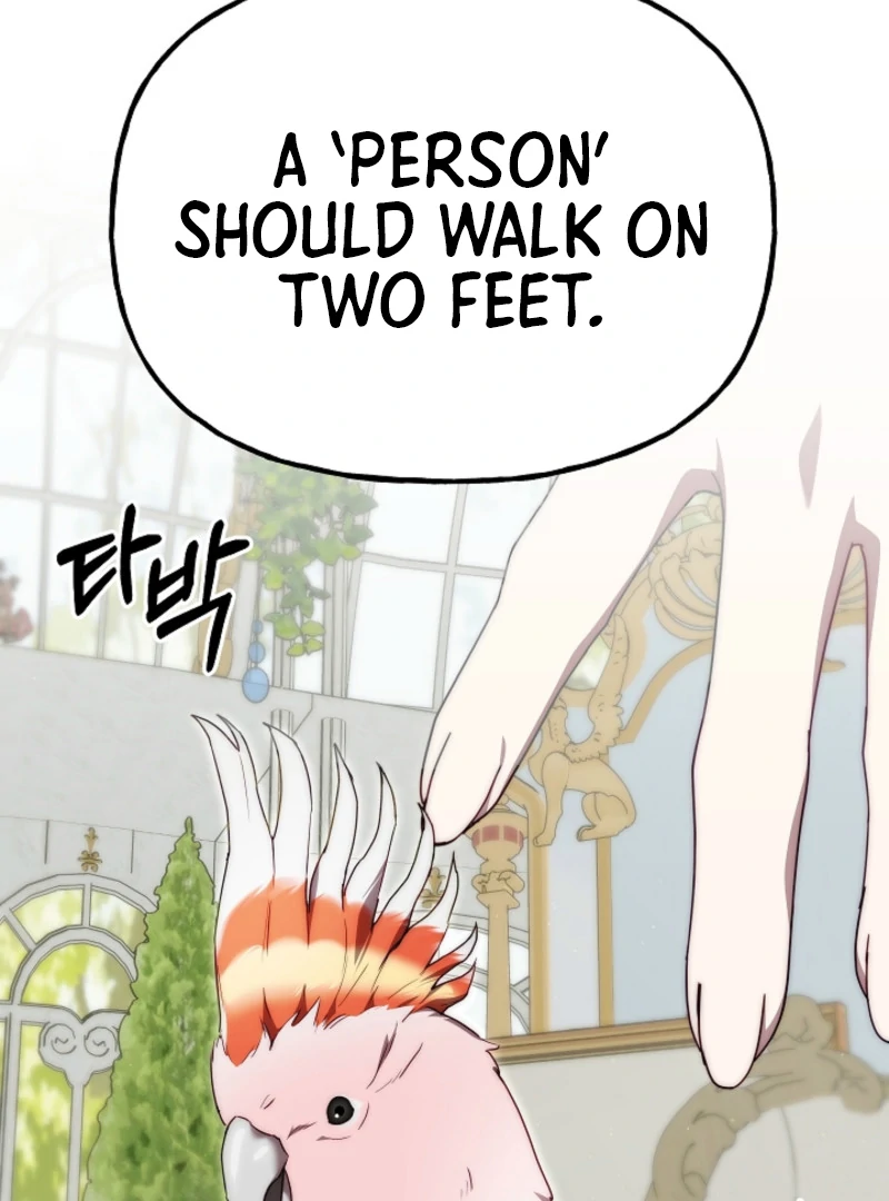 Tamed the Monster Prince Chapter 12 380 ch 12 70