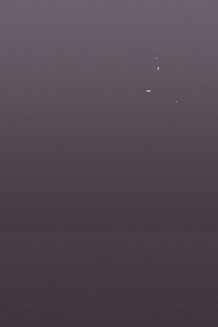 Tears on a Withered Flower Chapter 50 524 124