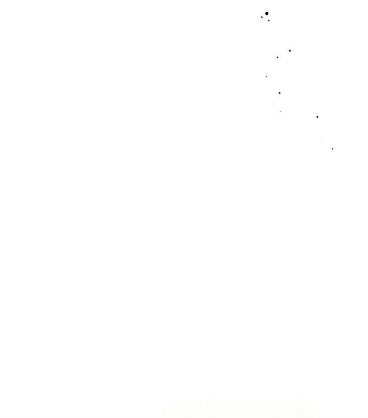 Tears on a Withered Flower Chapter 53 528 098