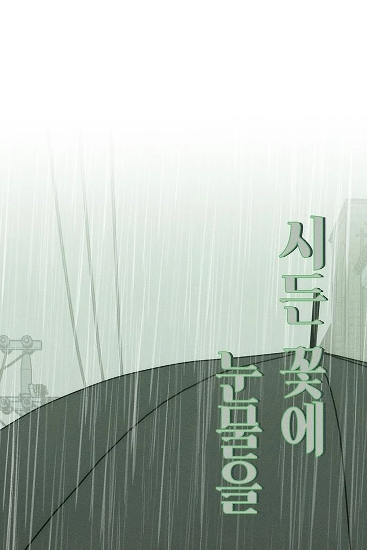 Tears on a Withered Flower Chapter 60 508 087