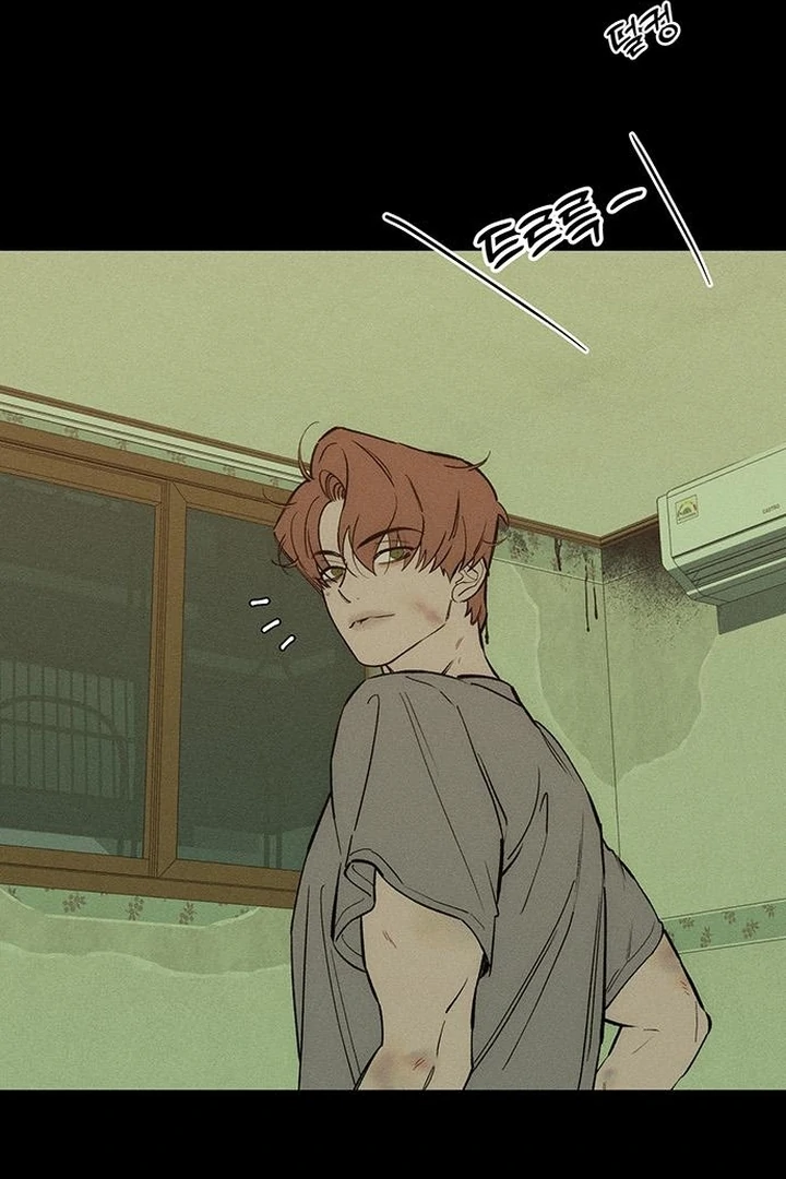 Tears on a Withered Flower Chapter 70 379 051