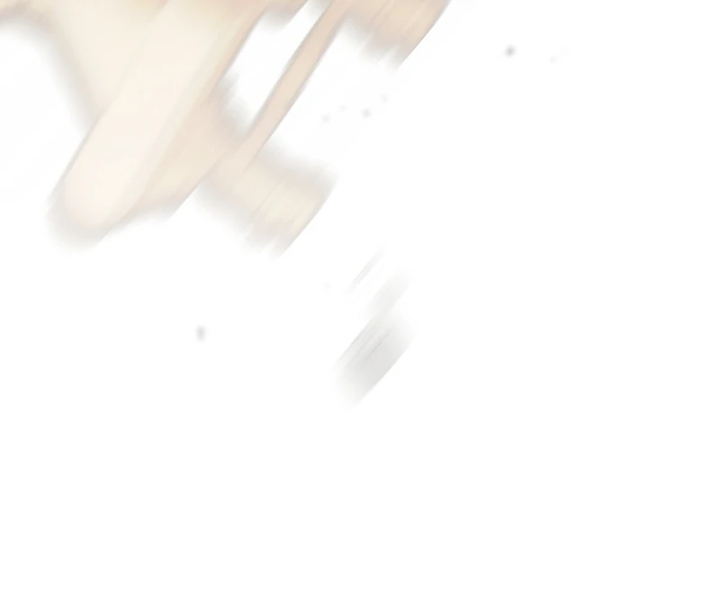 The 100 Curses of the Illeston Mansion Chapter 23 528 065