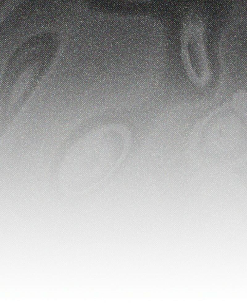 The 100 Curses of the Illeston Mansion Chapter 24 466 030