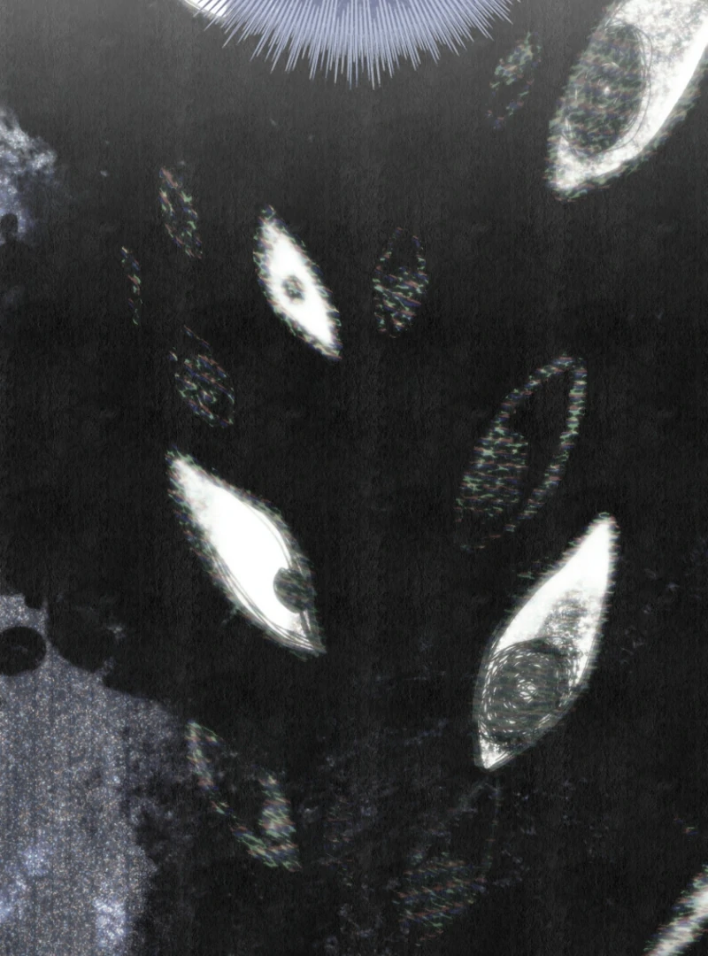 The 100 Curses of the Illeston Mansion Chapter 25 480 077