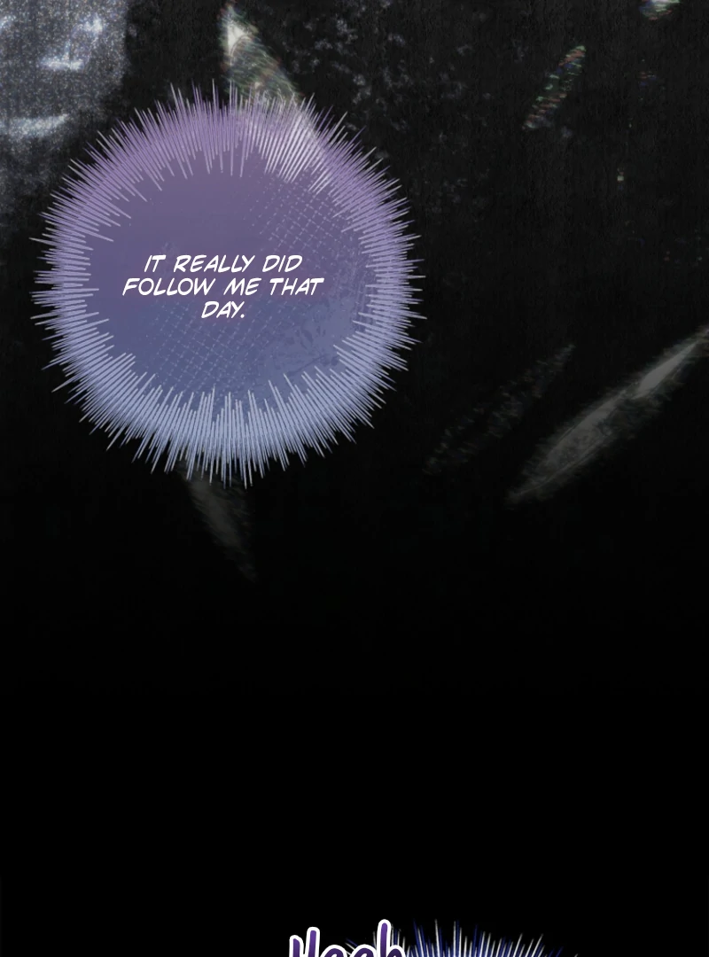 The 100 Curses of the Illeston Mansion Chapter 25 481 078