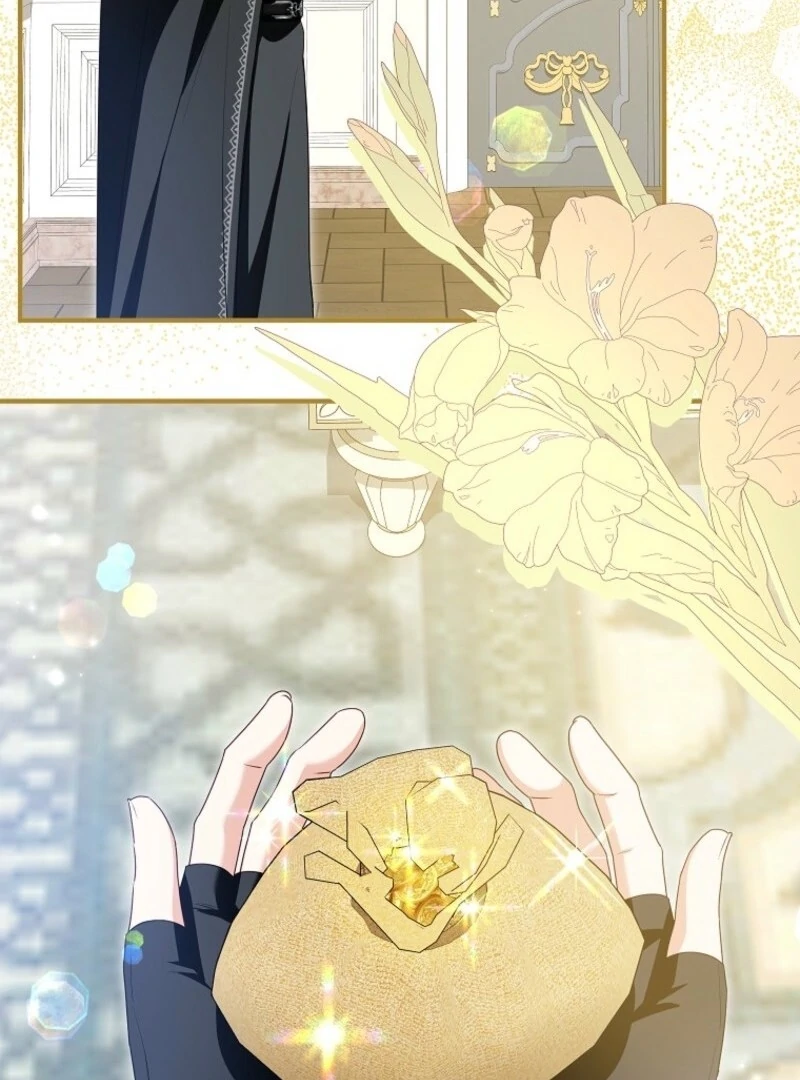 The adopted daughter-in-law wants to leave Chapter 104 431 061