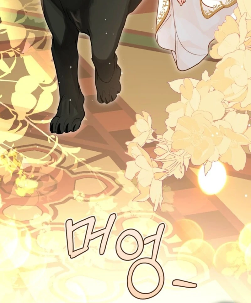 The Archduke’s Gorgeous Wedding Was a Fraud Chapter 79 395 ch 79 55