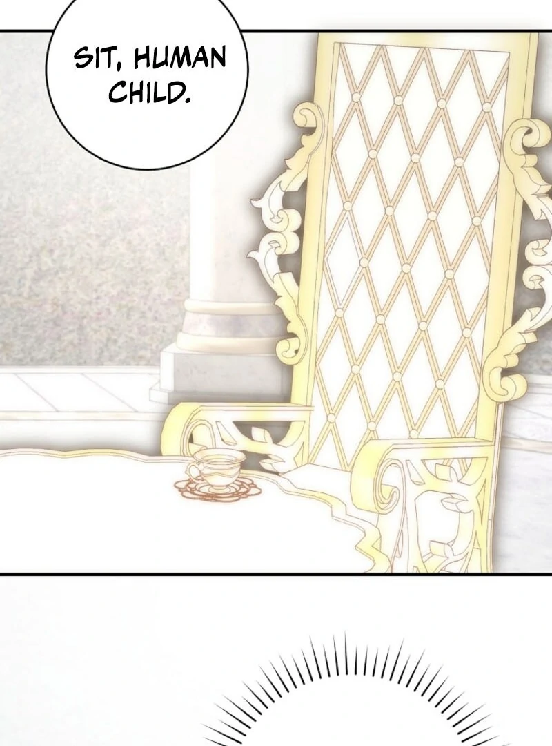 The Archduke’s Gorgeous Wedding Was a Fraud Chapter 95 422 088