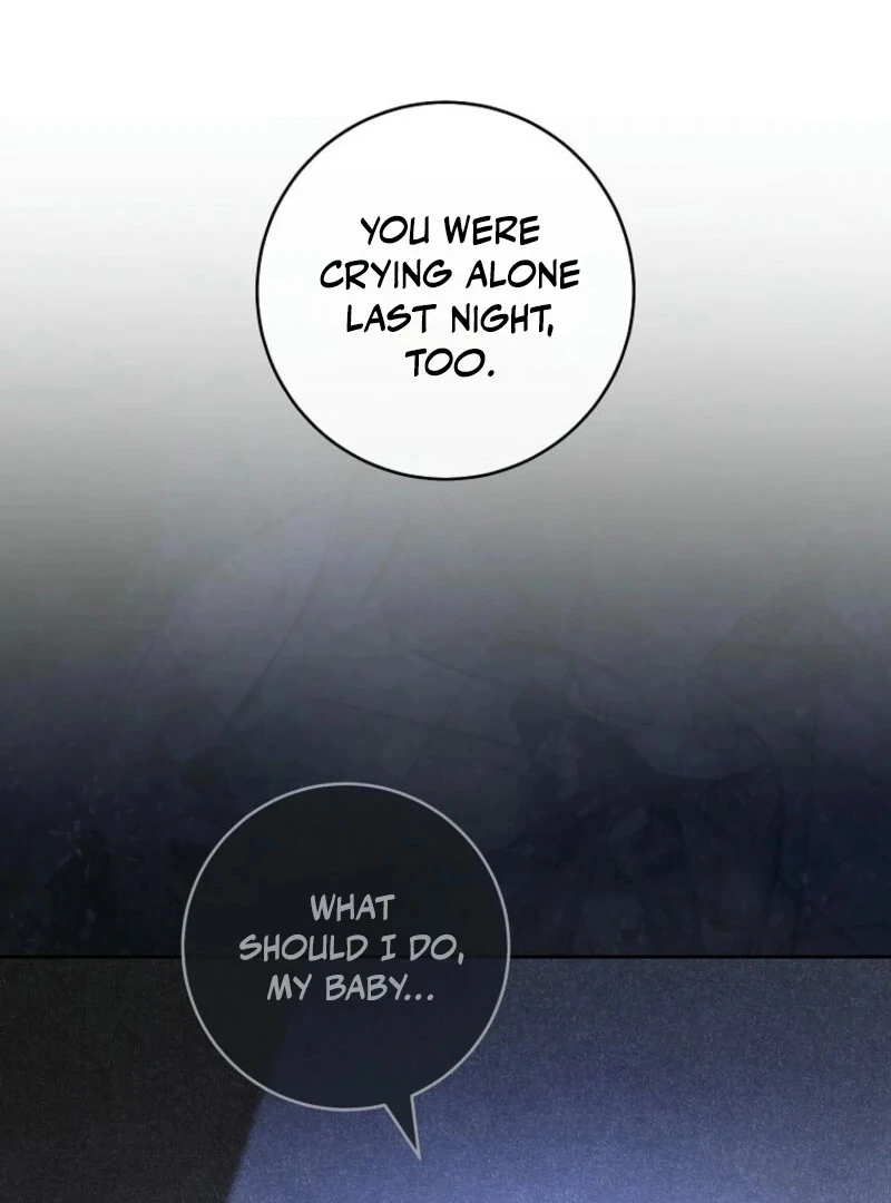 The Baby Concubine Wants to Live Quietly Chapter 120 480 053