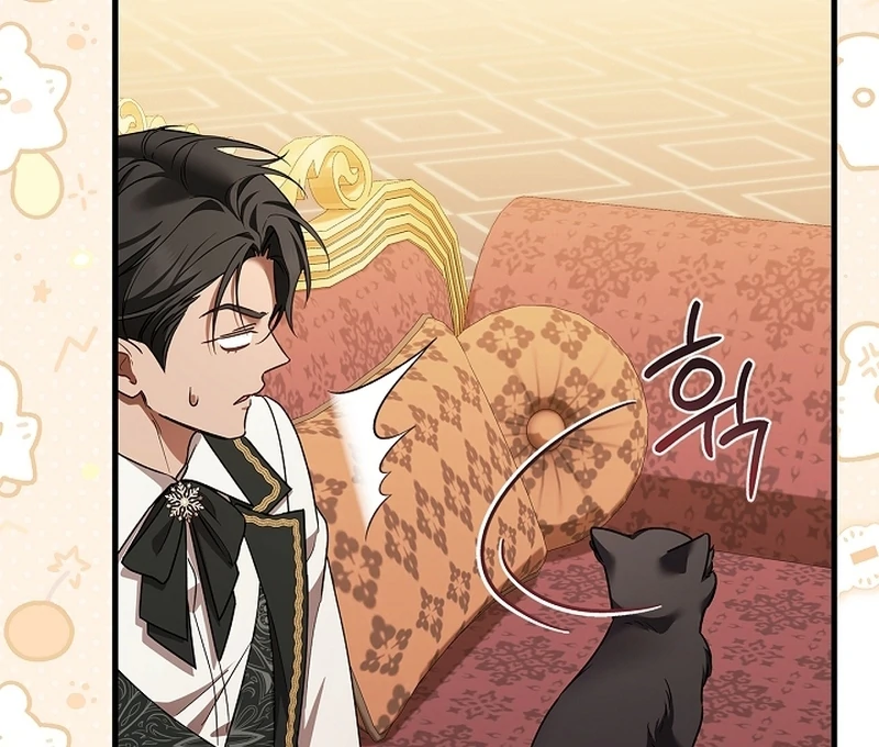 The Back-Alley Mage’s Return Chapter 11 424 009