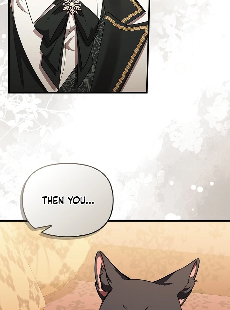 The Back-Alley Mage’s Return Chapter 11 437 022