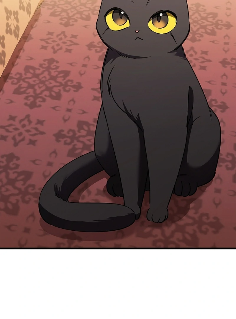 The Back-Alley Mage’s Return Chapter 11 438 023