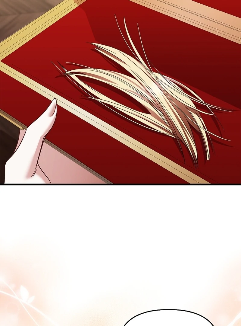 The Back-Alley Mage’s Return Chapter 11 496 081