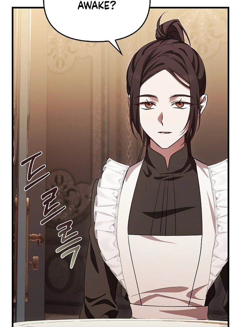 The Back-Alley Mage’s Return Chapter 11 502 087