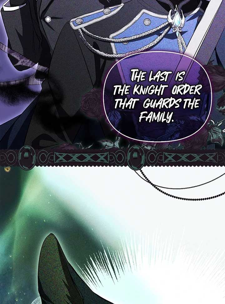 The Back-Alley Mage’s Return Chapter 13 528 068