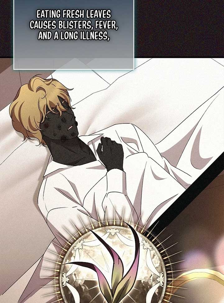 The Back-Alley Mage’s Return Chapter 13 569 109