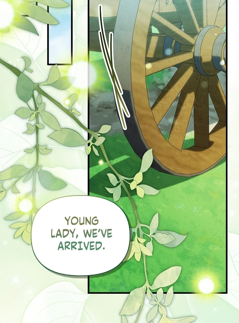 The Back-Alley Mage’s Return Chapter 17 490 063