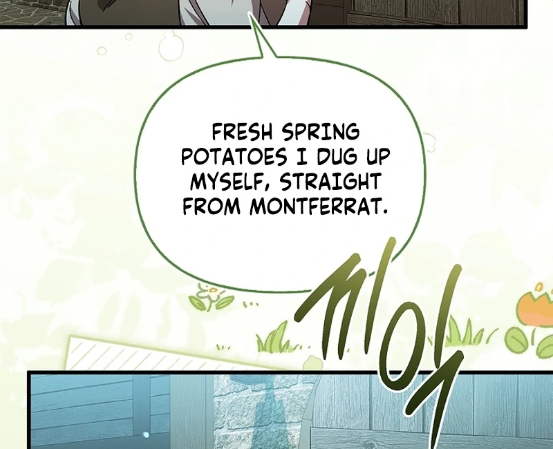 The Back-Alley Mage’s Return Chapter 17 529 102