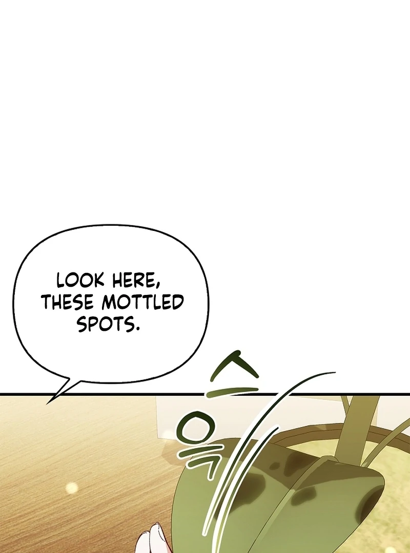 The Back-Alley Mage’s Return Chapter 17 547 120