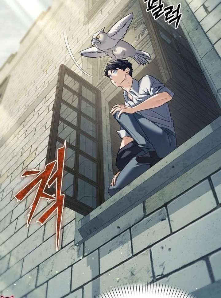 The Back-Alley Mage’s Return Chapter 29 496 093