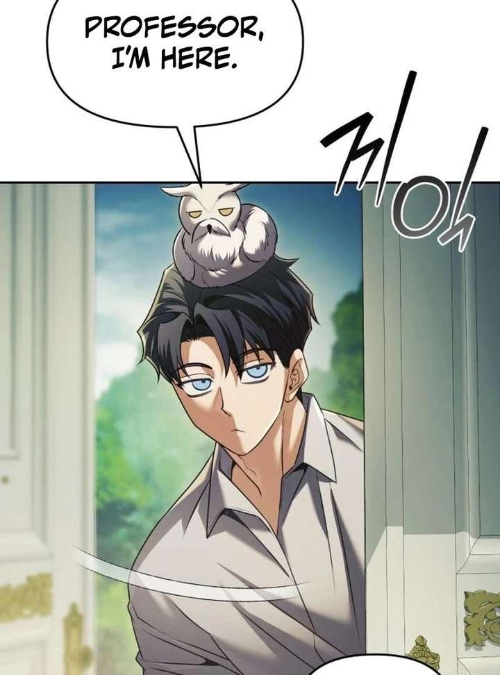 The Back-Alley Mage’s Return Chapter 29 506 103