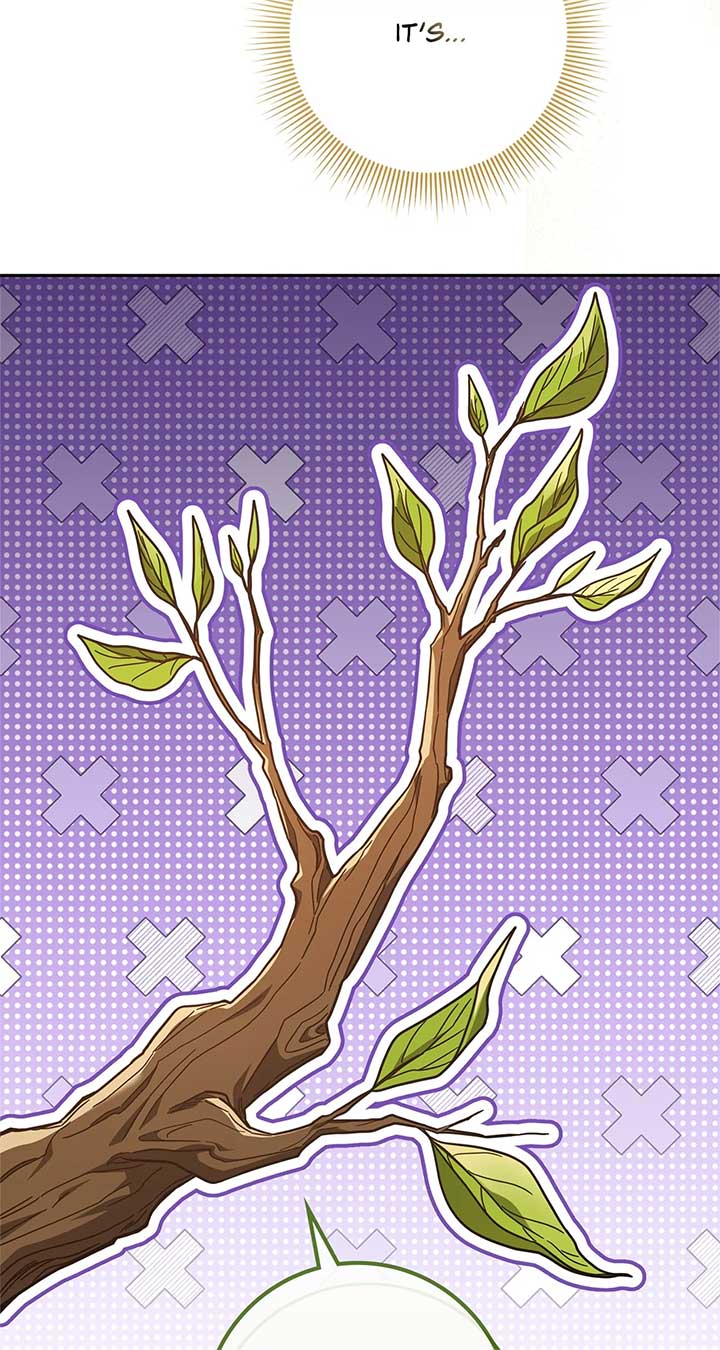 The Beloved Gardener of the World Tree Chapter 1 412 009