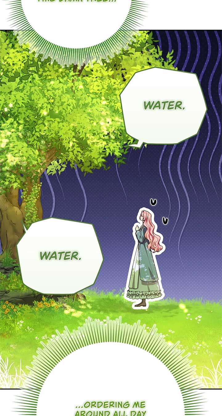 The Beloved Gardener of the World Tree Chapter 1 415 012