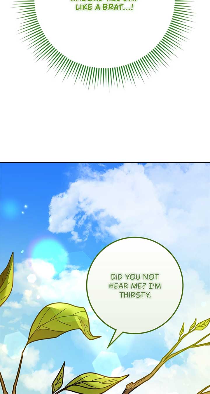 The Beloved Gardener of the World Tree Chapter 1 416 013