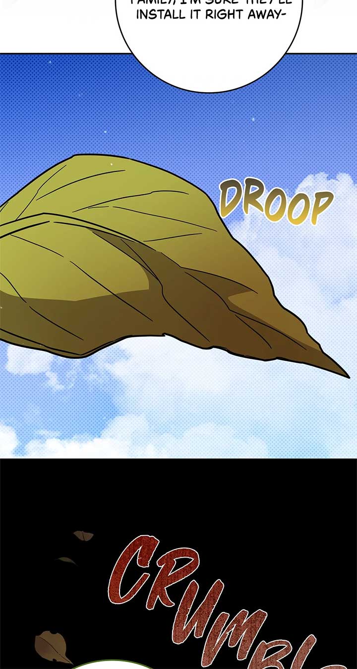 The Beloved Gardener of the World Tree Chapter 1 422 019