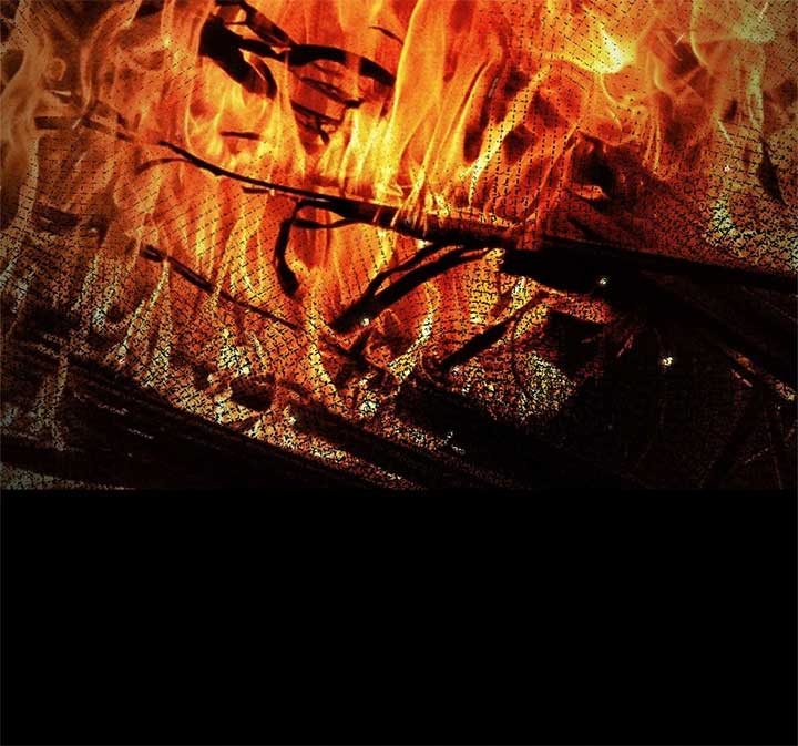 The Beloved Gardener of the World Tree Chapter 1 451 048