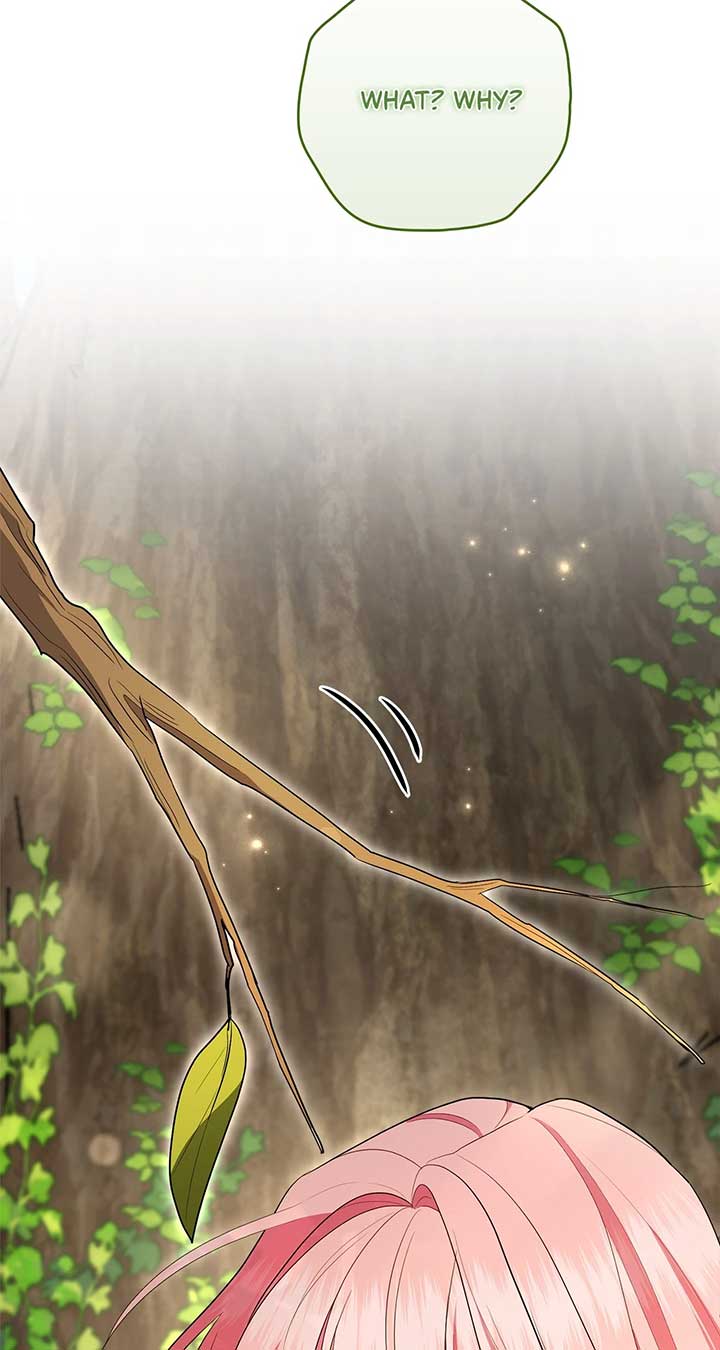 The Beloved Gardener of the World Tree Chapter 10 441 083