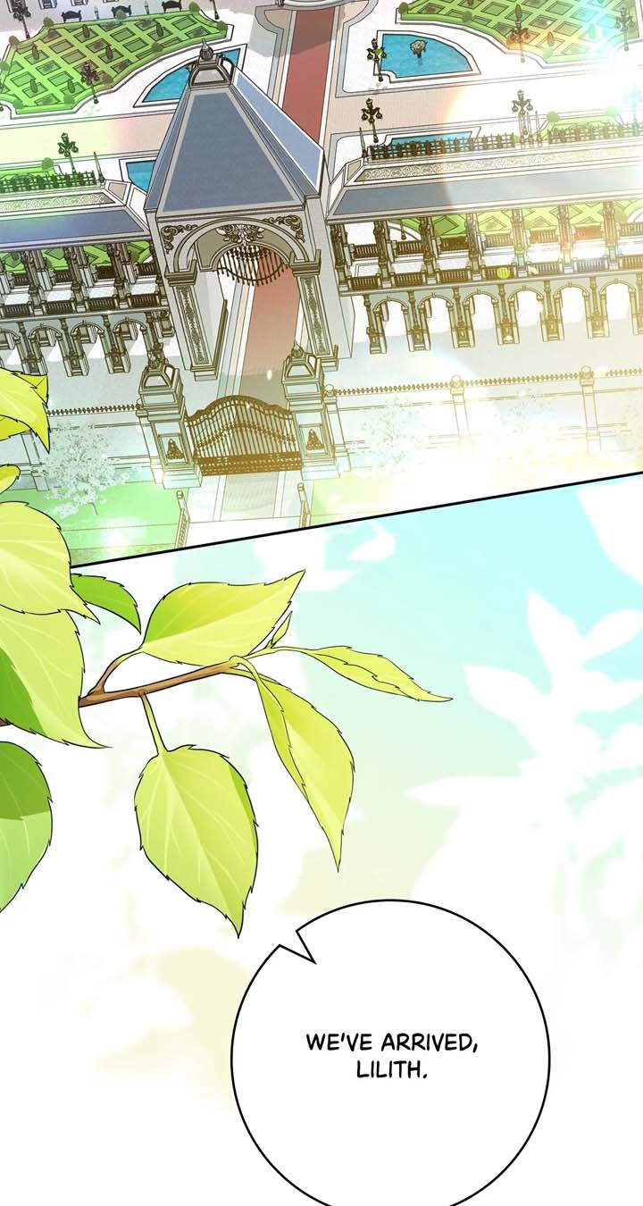 The Beloved Gardener of the World Tree Chapter 2 462 098