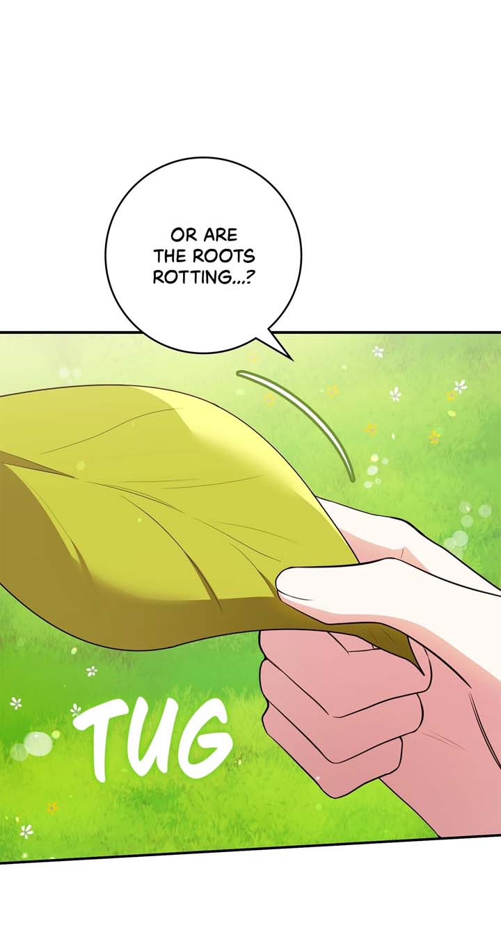 The Beloved Gardener of the World Tree Chapter 2 476 112