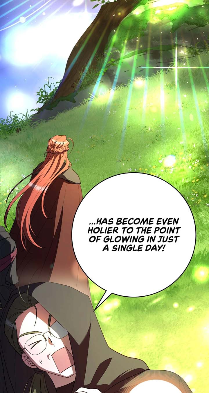 The Beloved Gardener of the World Tree Chapter 5 315 14